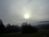 Délelőtti köd