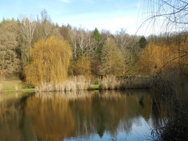 Pécs Malomvölgyi tó 