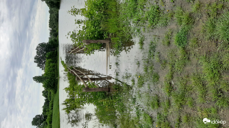 Tiszai áradás 