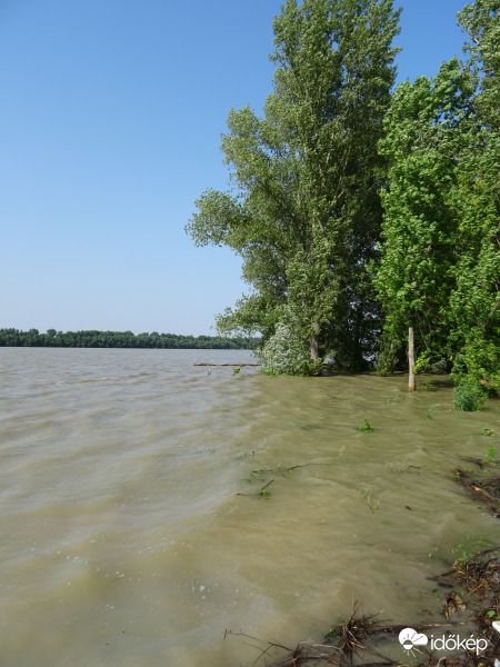 Áradó Duna 