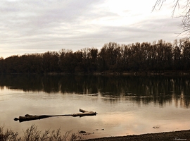 Kis Duna-ág tegnap késő délután