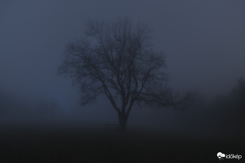 Éjjeli ködös, misztikus hangulat Normafán. 