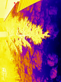 9g súlyú infravörös kamerával készült éjszakai felhőkép fenyőfával az előtérben
