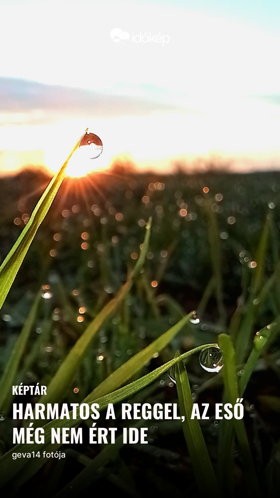 harmatos a reggel, az eső még nem ért ide