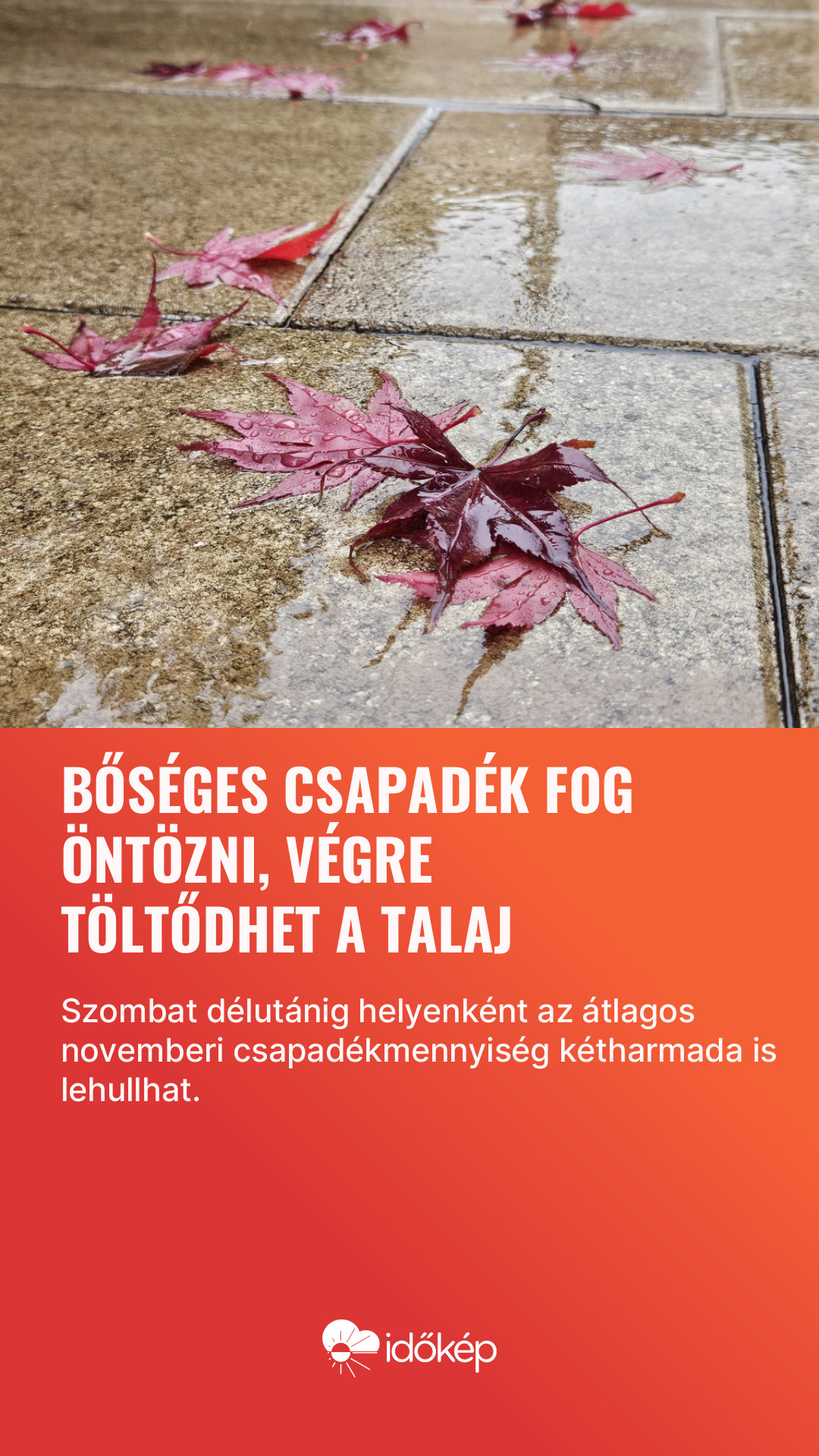 Bőséges csapadék fog öntözni, végre töltődhet a talaj