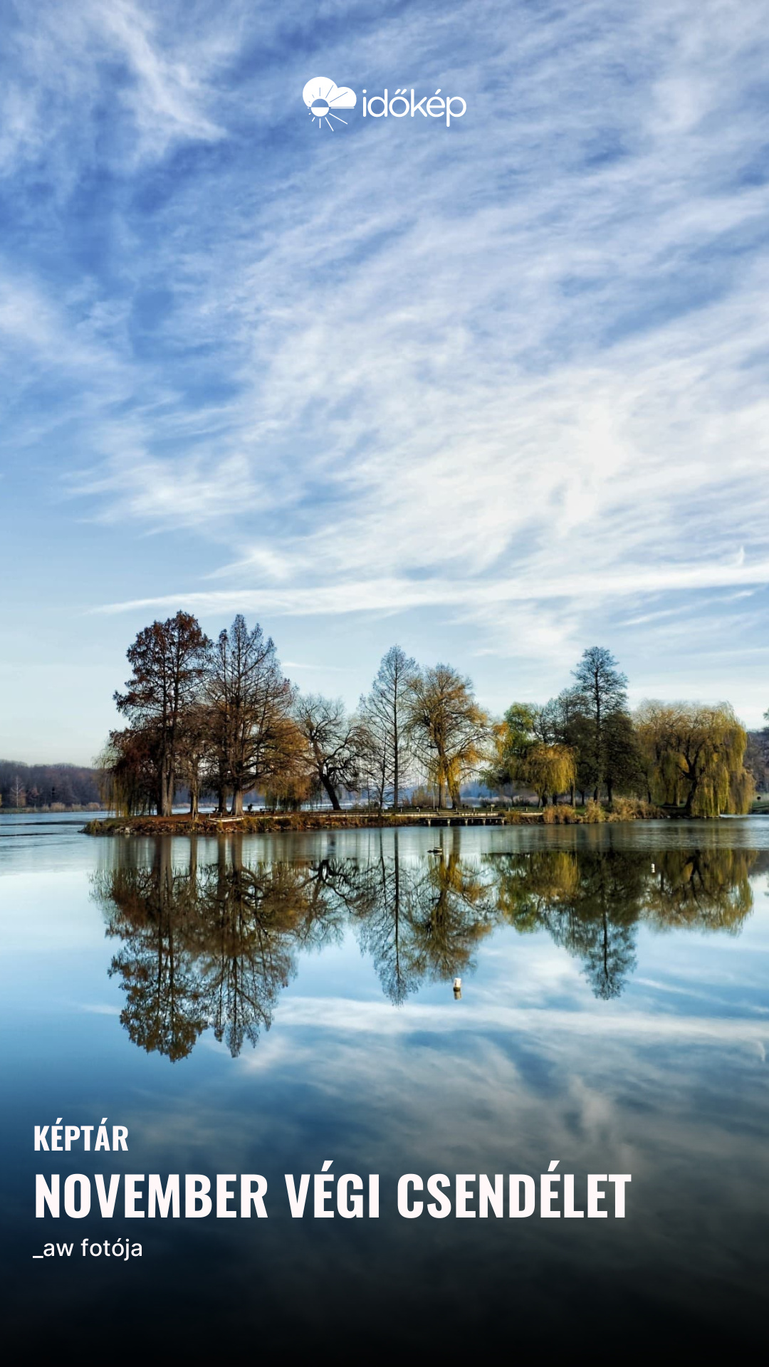 November végi csendélet
