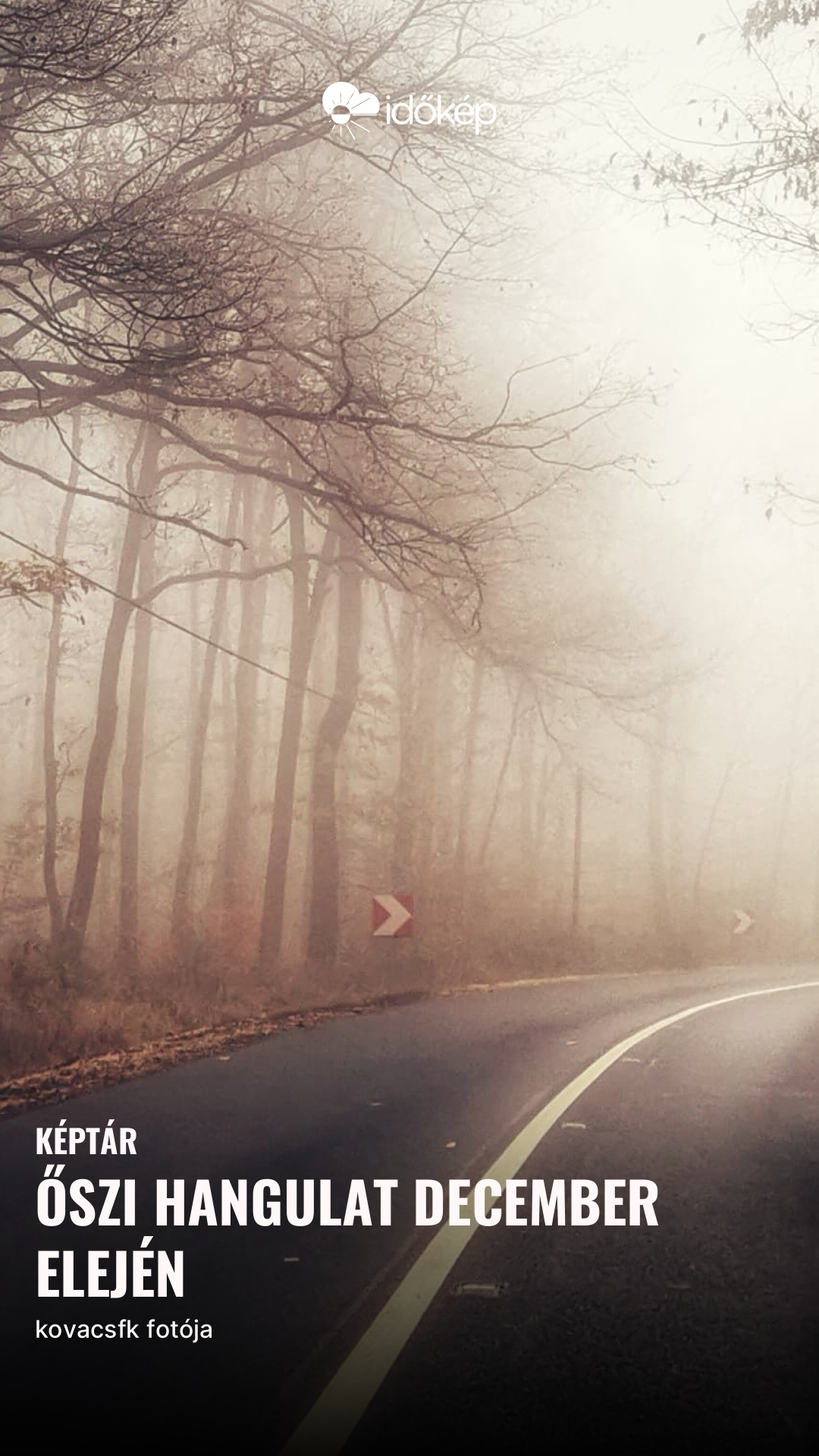 Őszi hangulat december elején