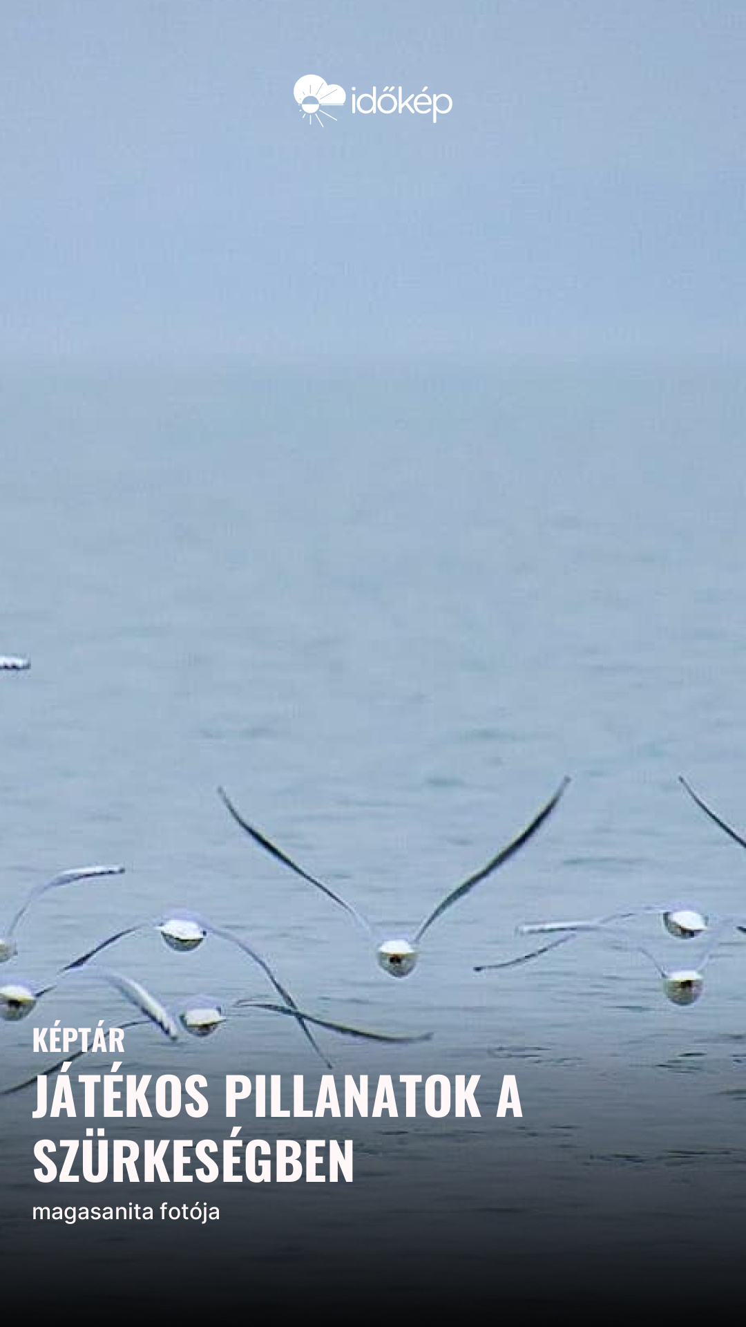 Játékos pillanatok a szürkeségben