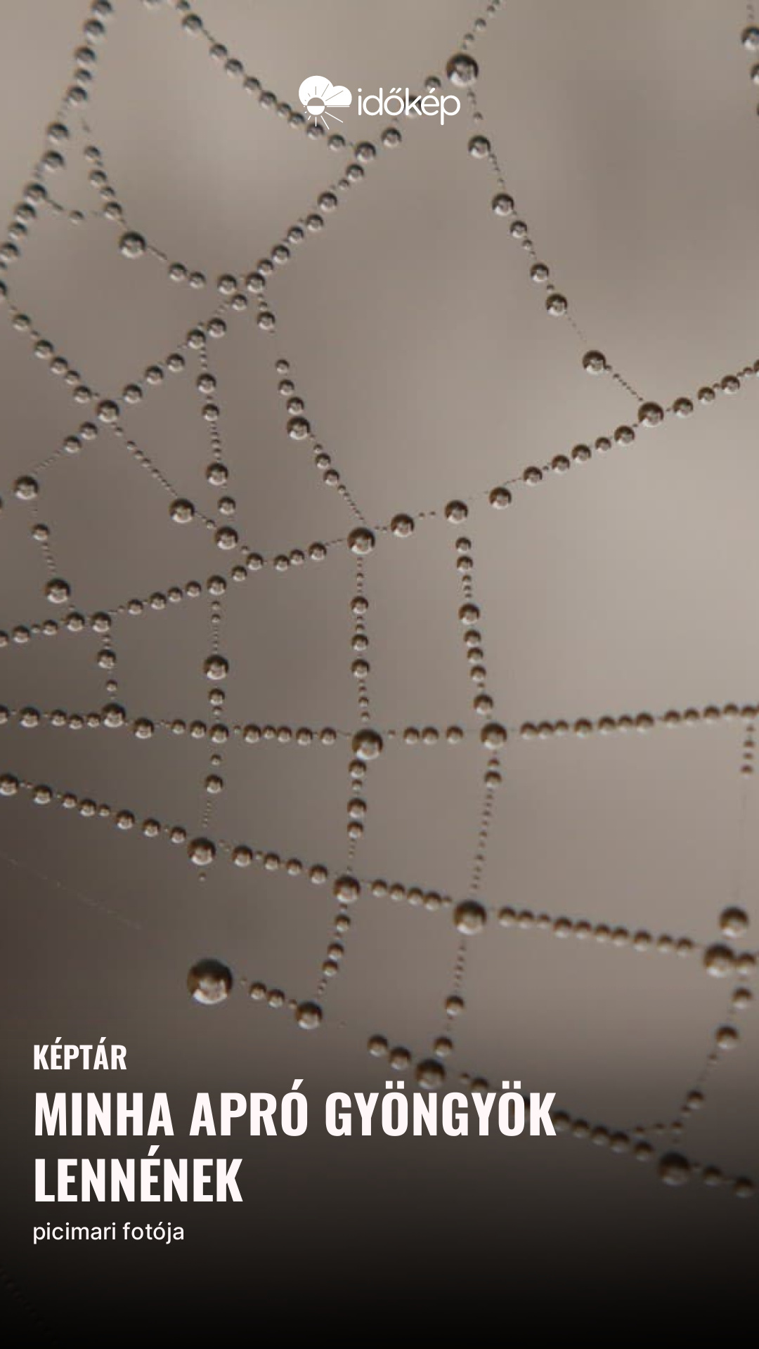 Minha apró gyöngyök lennének