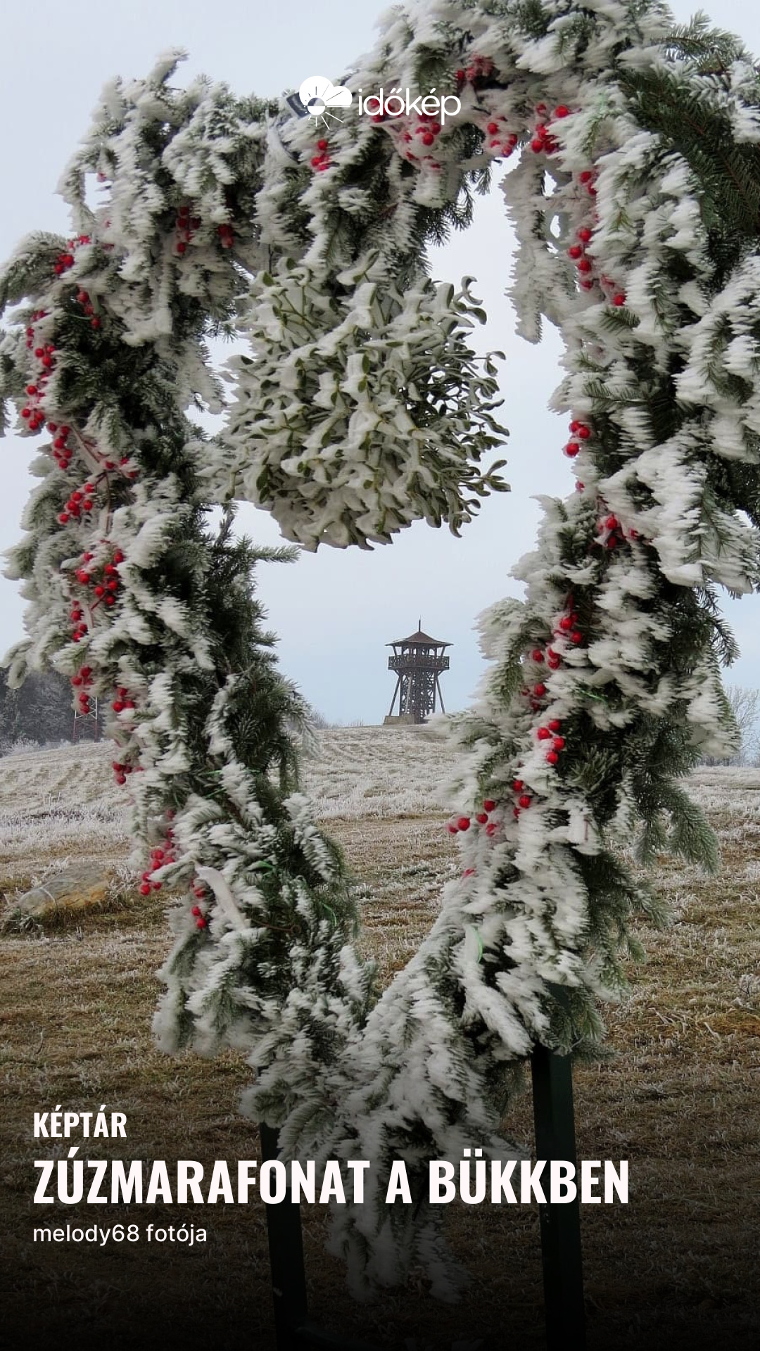 Zúzmarafonat a Bükkben