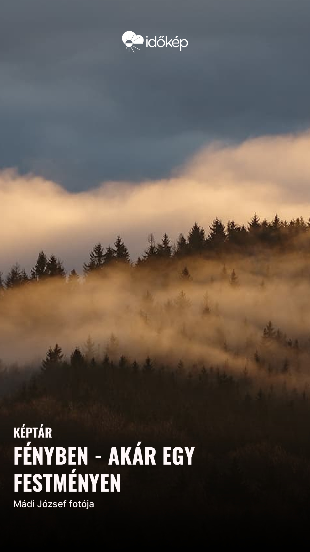 Fényben - akár egy festményen