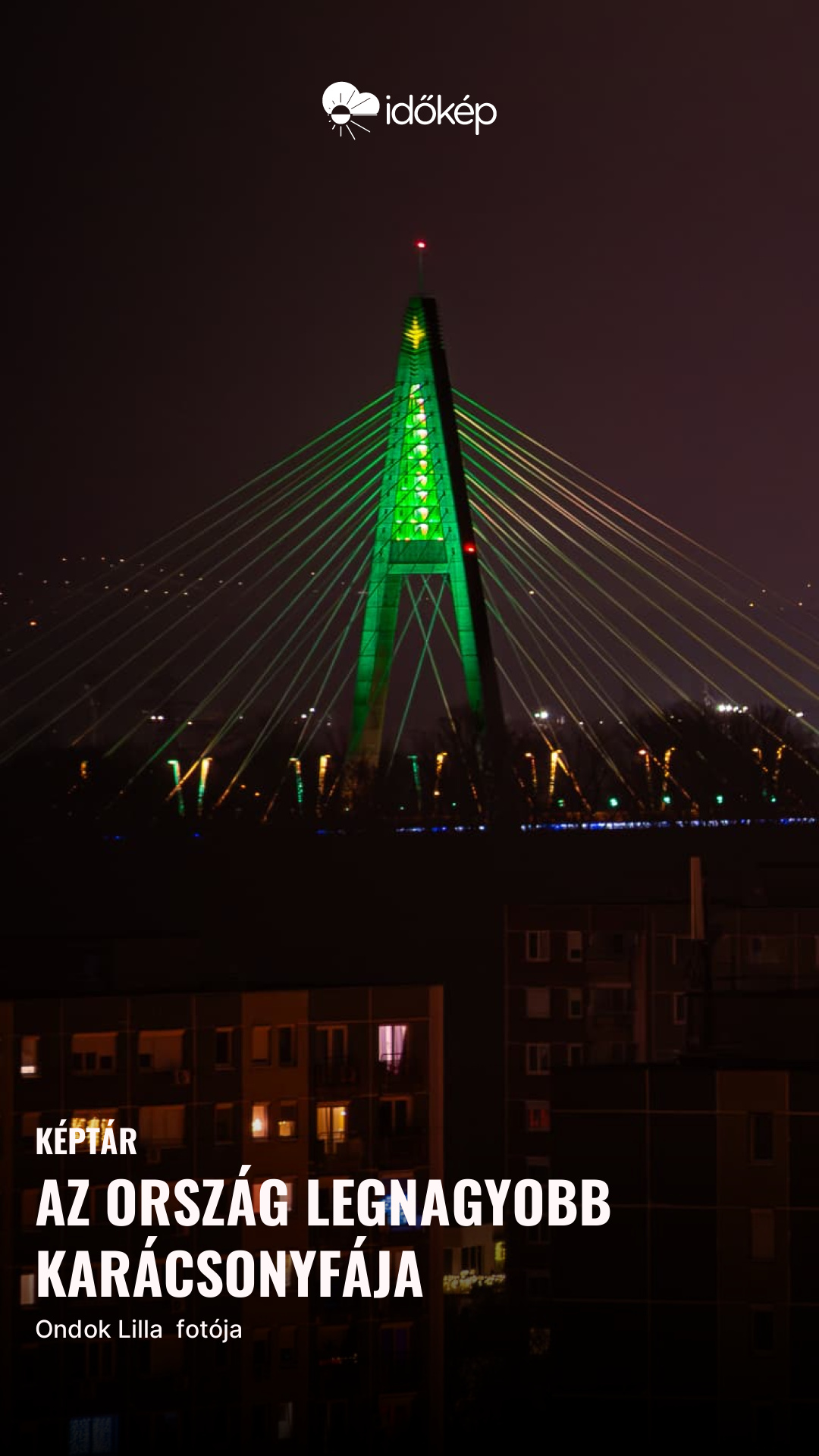 Az ország legnagyobb karácsonyfája