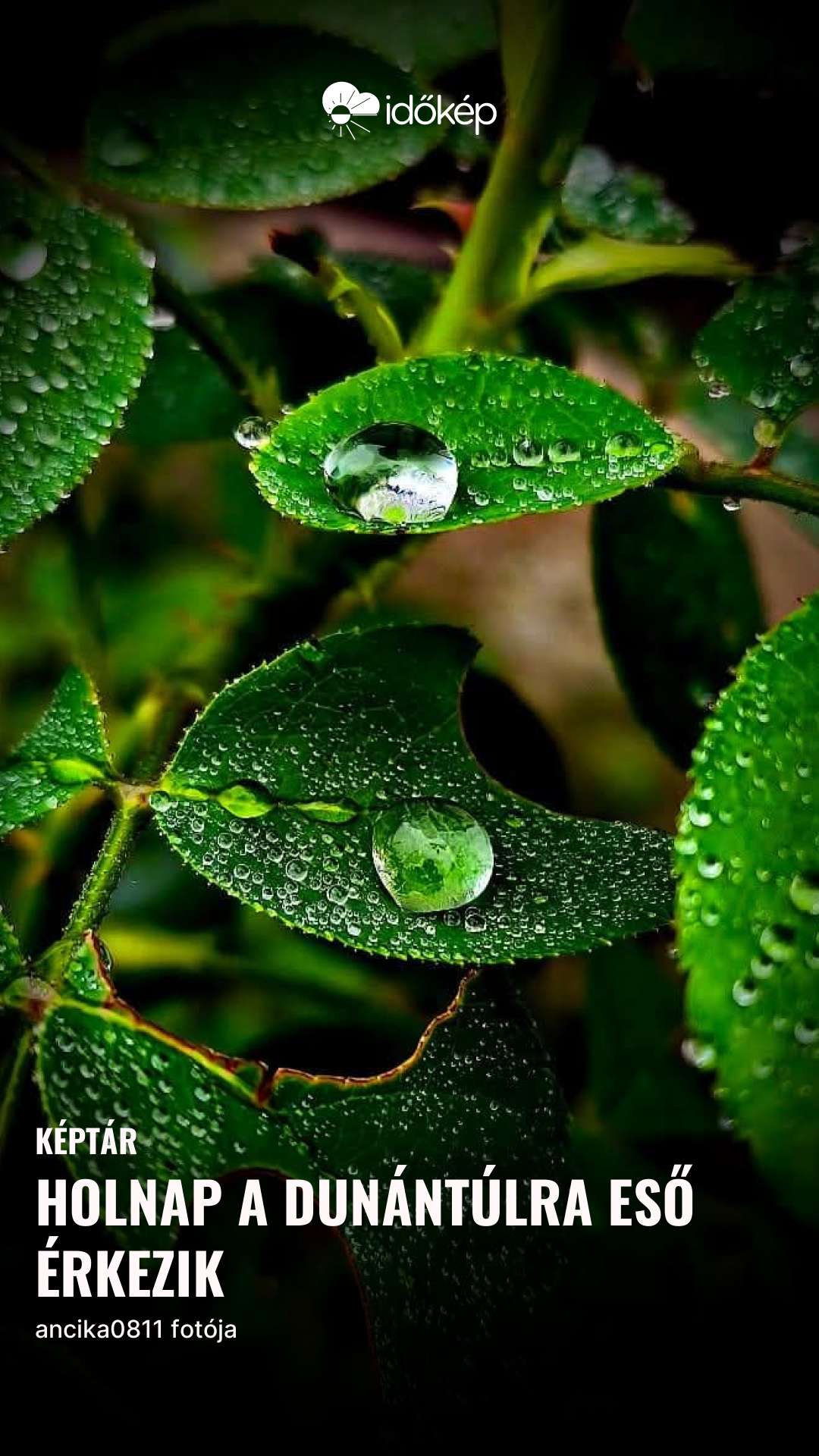 Holnap a Dunántúlra eső érkezik