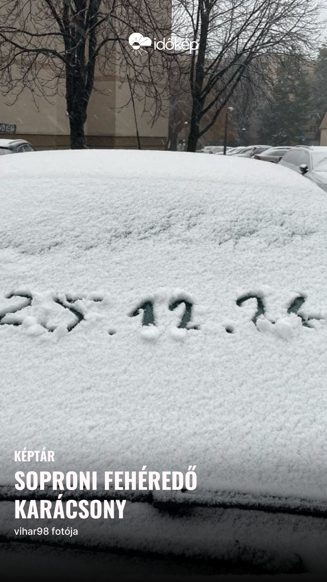 Soproni fehéredő karácsony