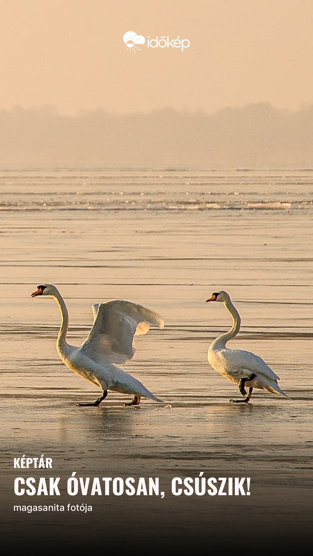 Csak óvatosan, csúszik!