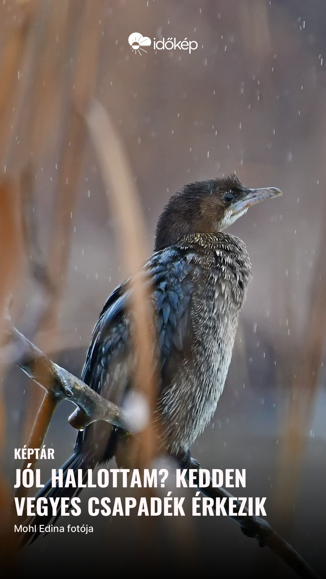 Jól hallottam? Kedden vegyes csapadék érkezik