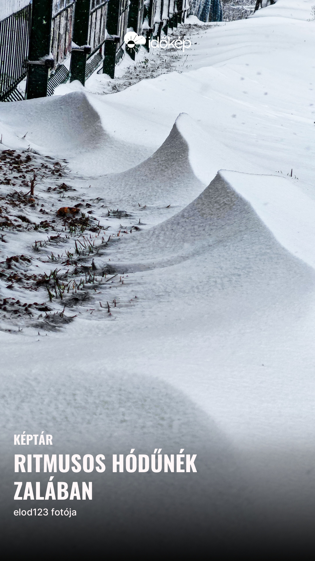 Ritmusos hódűnék Zalában 