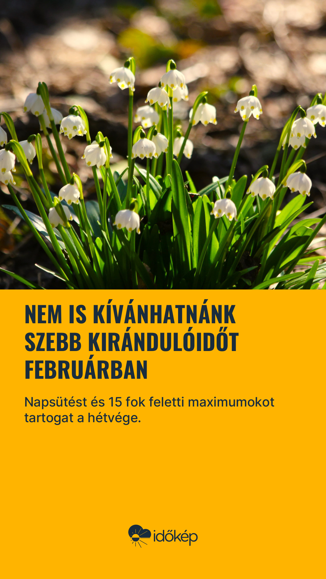 Nem is kívánhatnánk szebb kirándulóidőt februárban