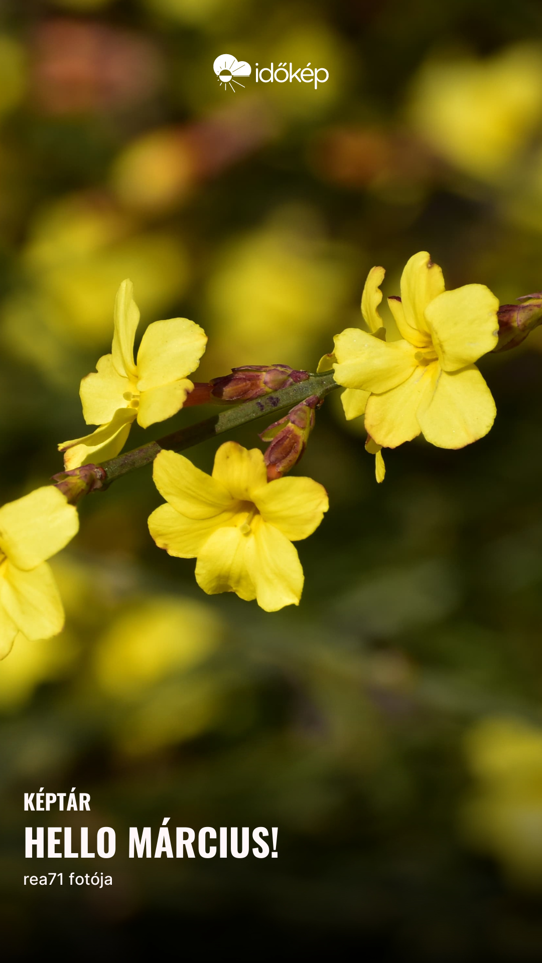 Hello Március! 