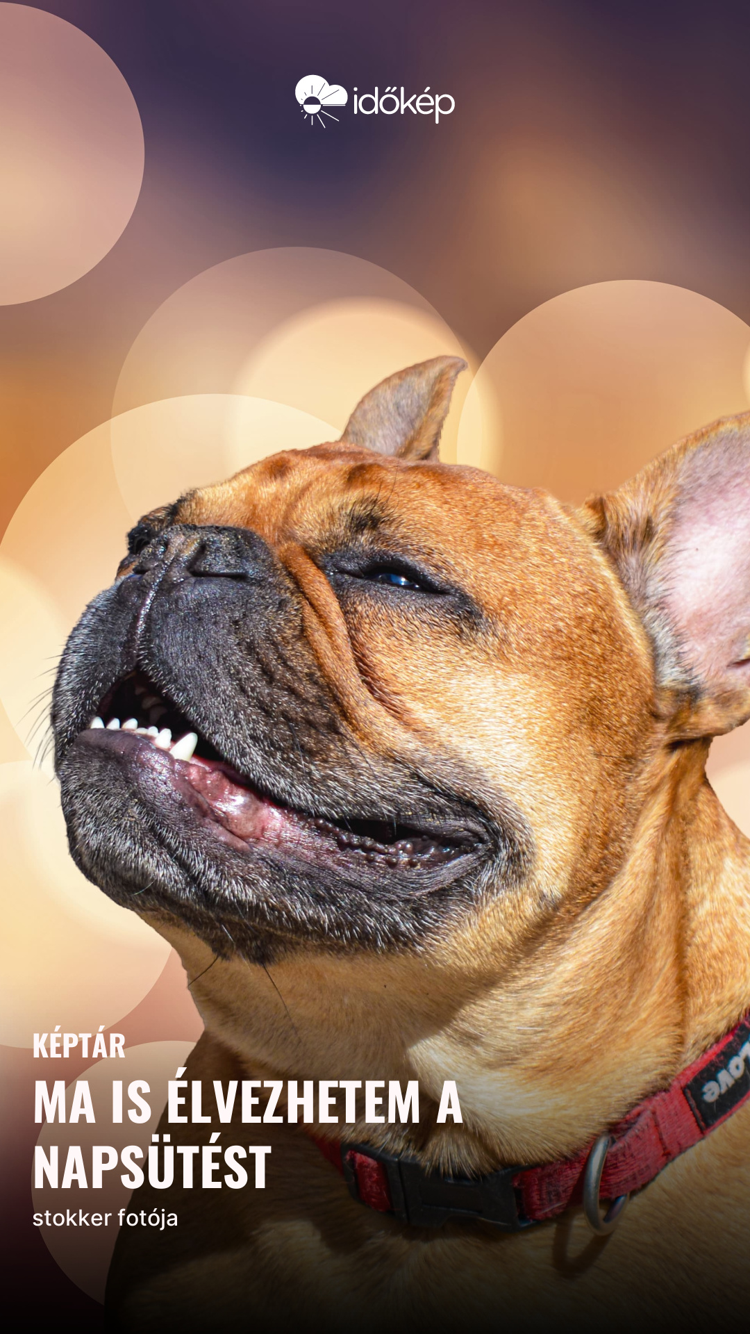 Ma is élvezhetem a napsütést 