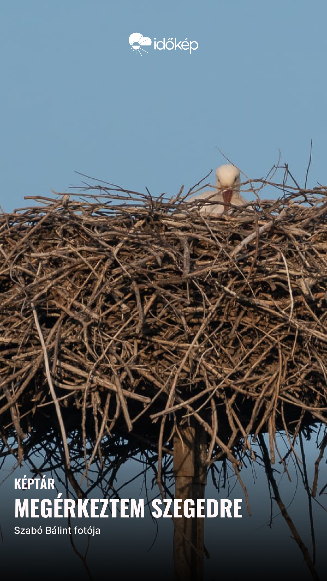 megérkeztem Szegedre
