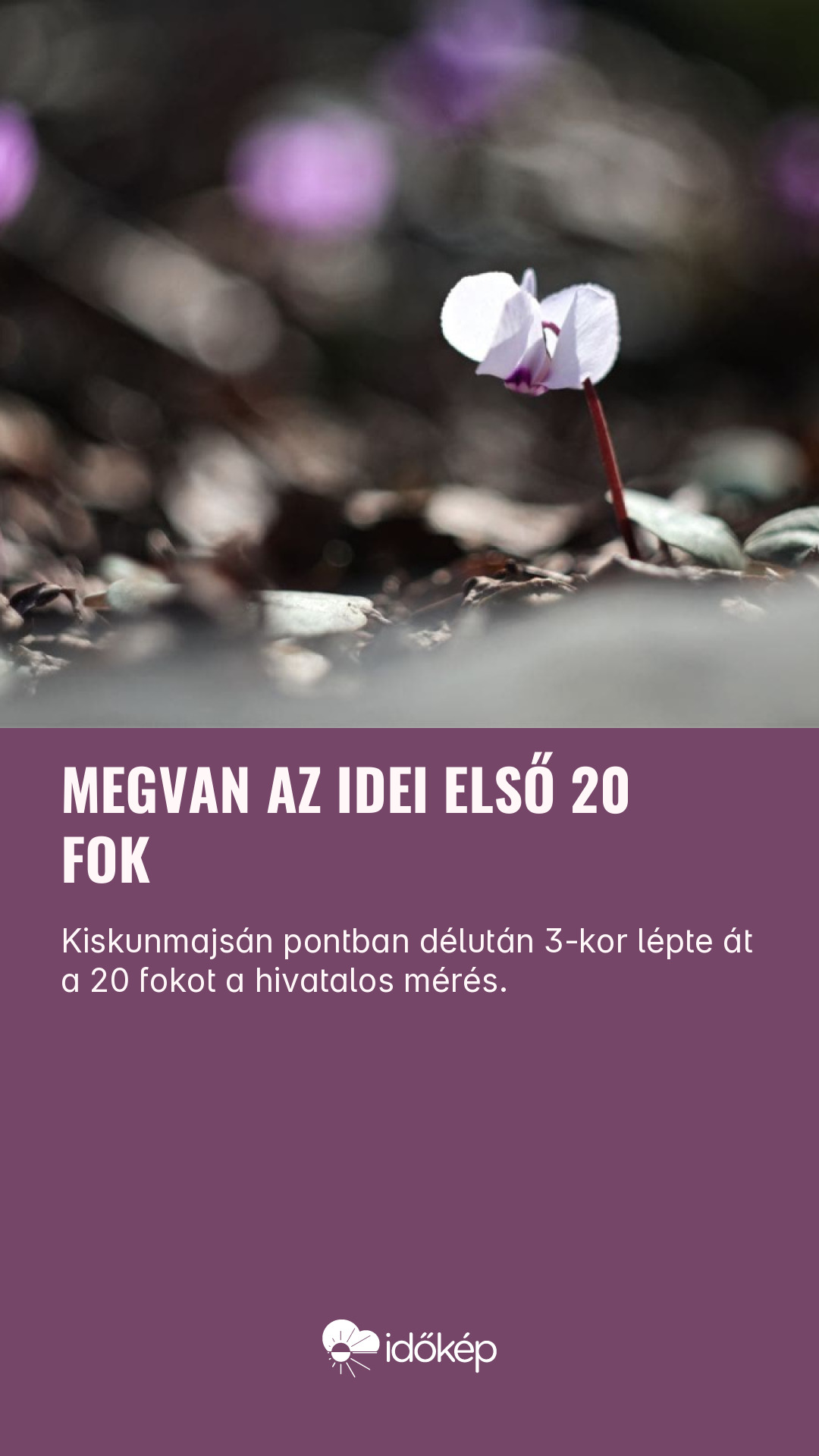 Megvan az idei első 20 fok