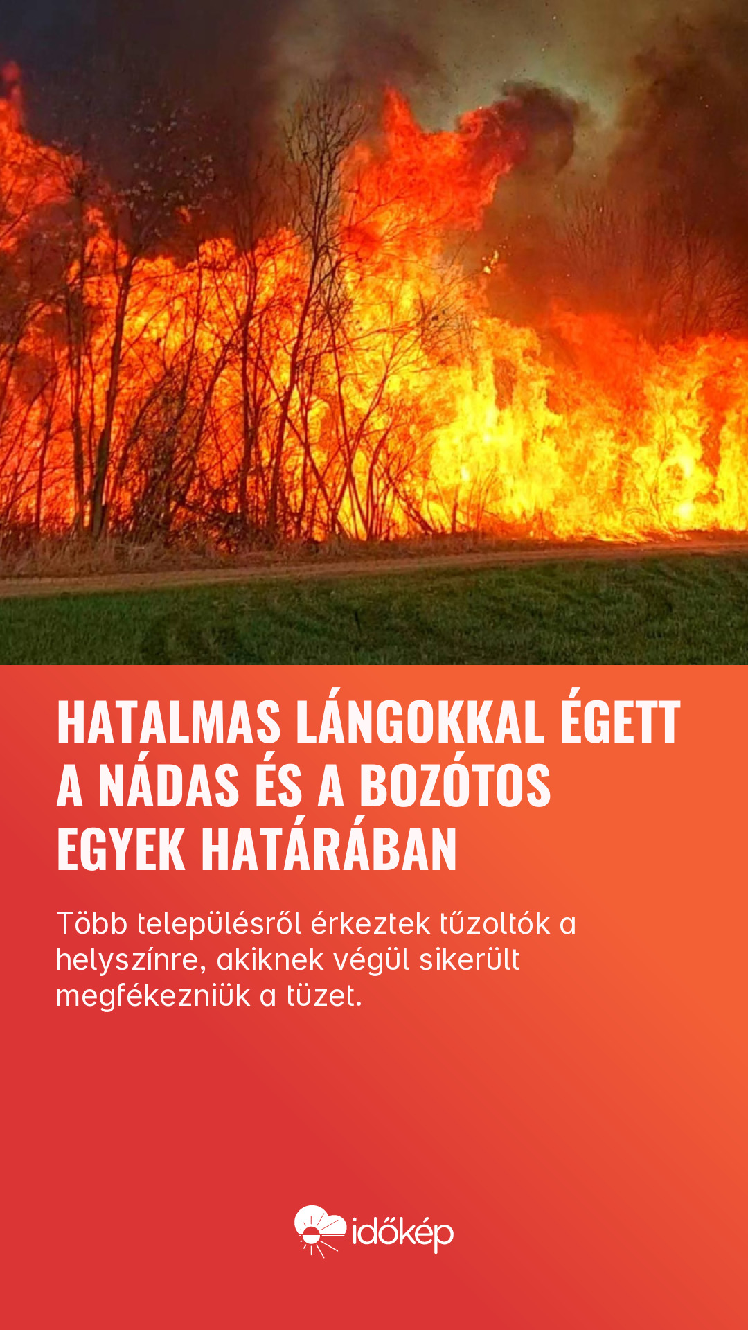 Hatalmas lángokkal égett a nádas és a bozótos Egyek határában