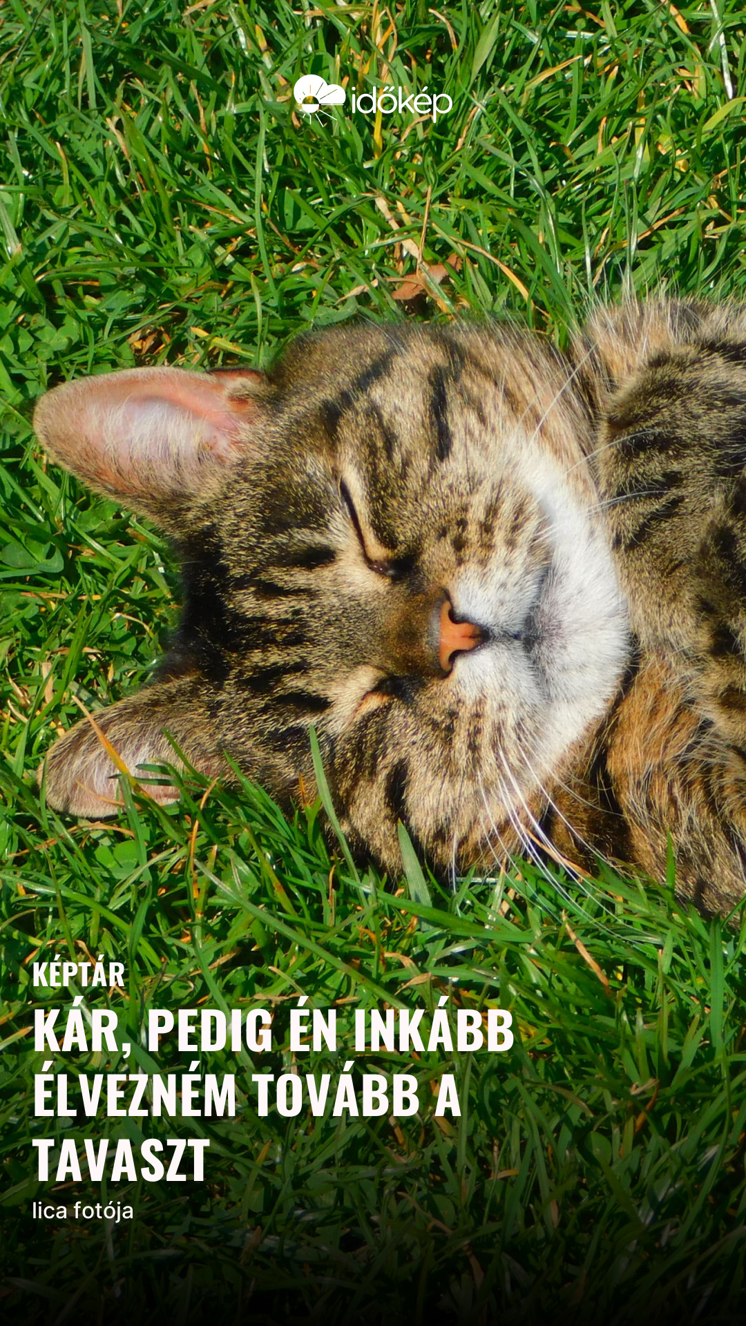 Kár, pedig én inkább élvezném tovább a tavaszt