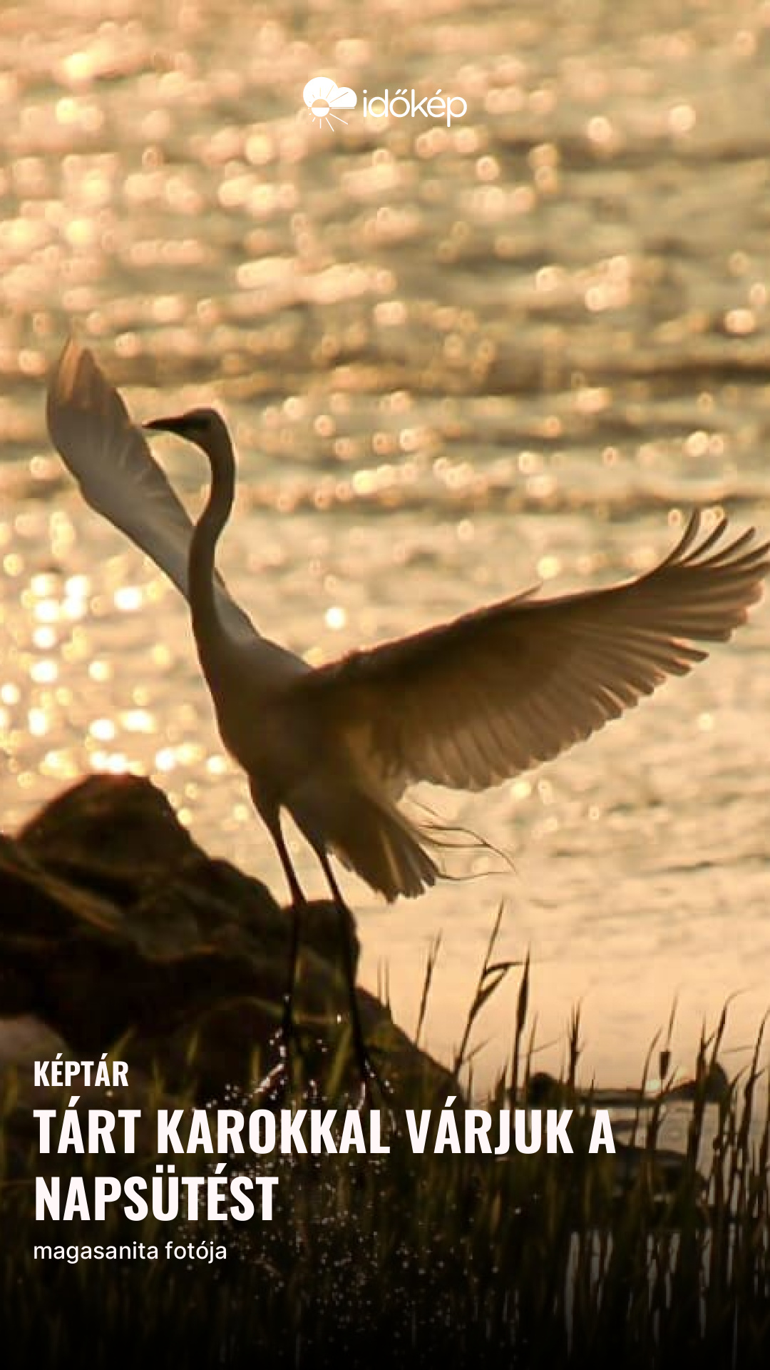 Tárt karokkal várjuk a napsütést