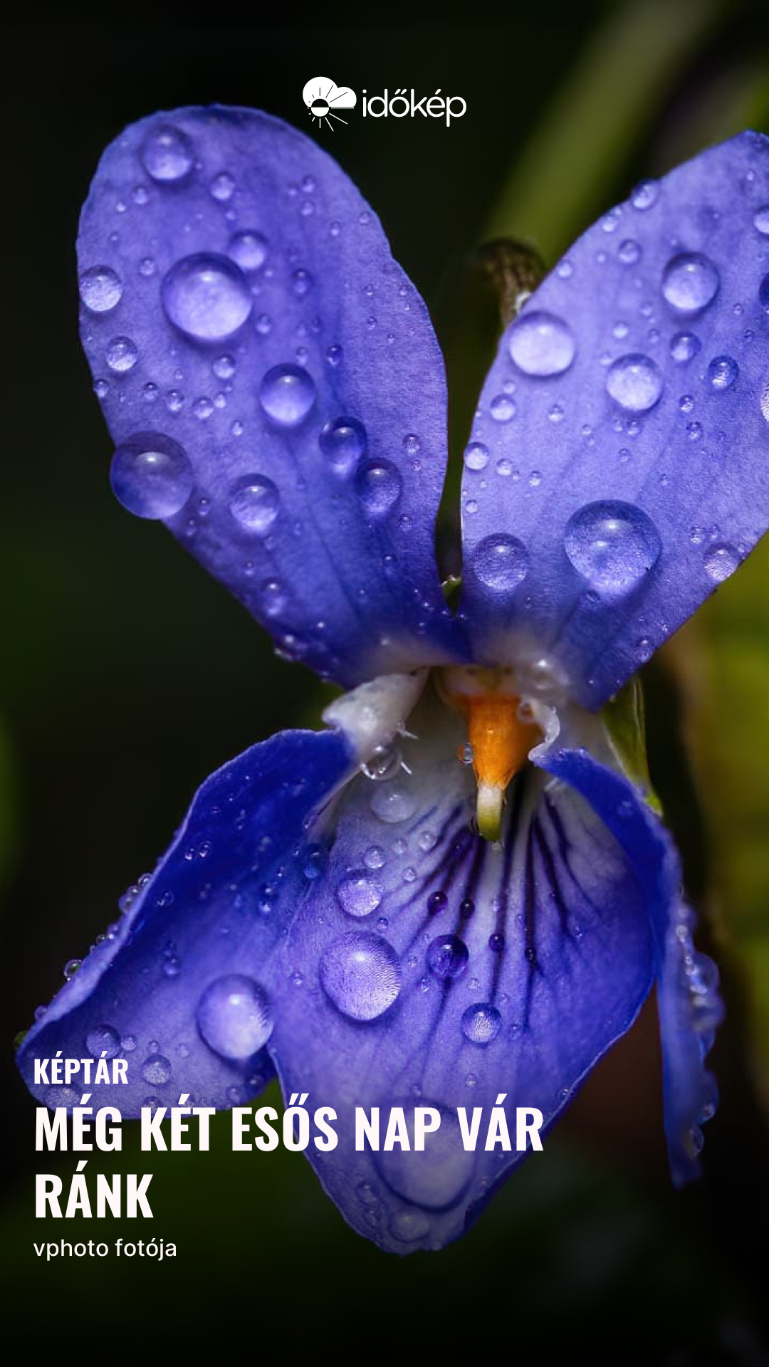 még két esős nap vár ránk