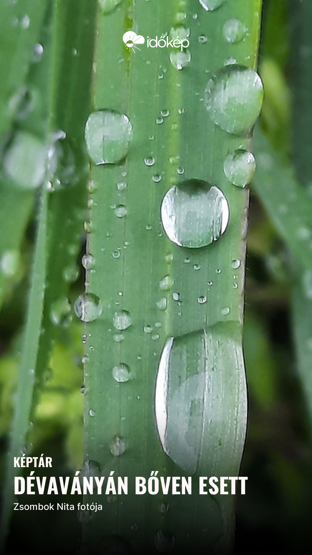 Dévaványán bőven esett