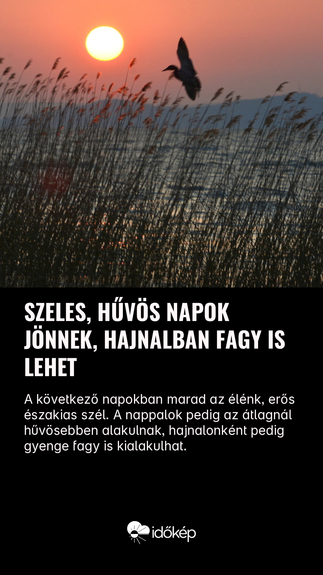 Szeles, hűvös napok jönnek, hajnalban fagy is lehet