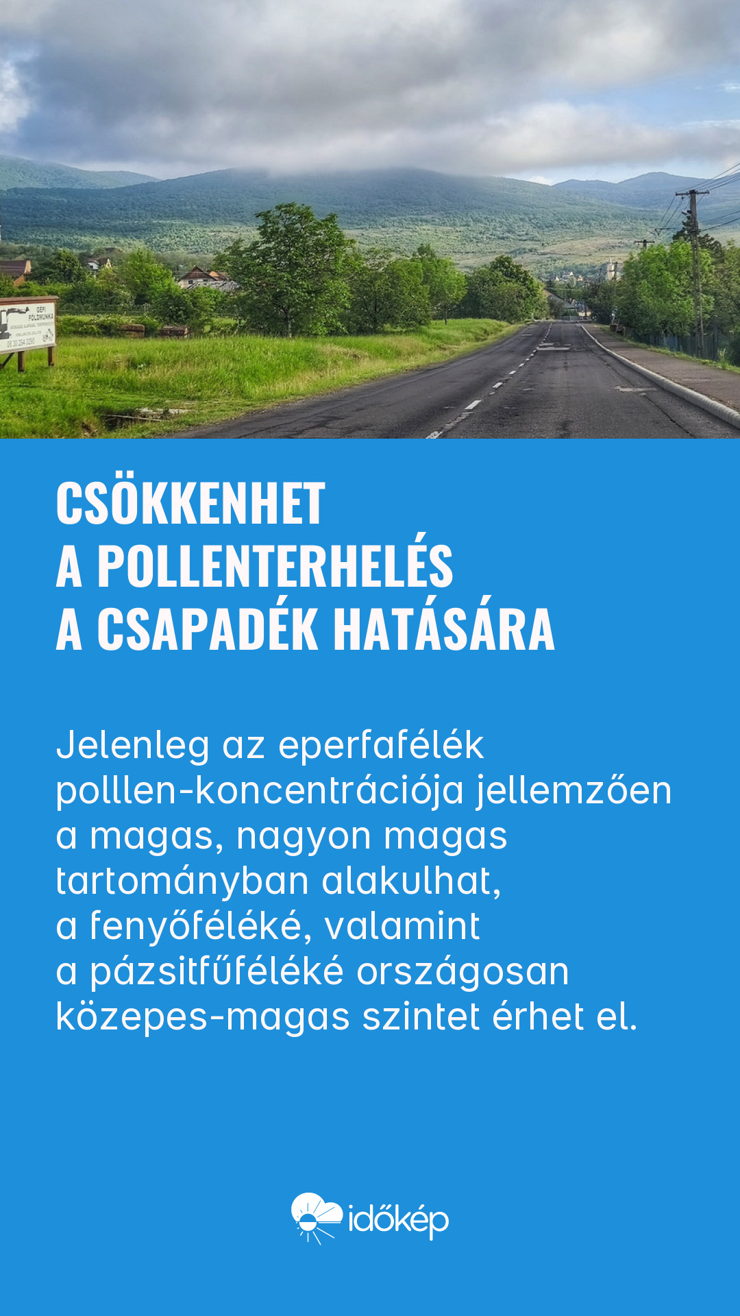 Csökkenhet a pollenterhelés a csapadék hatására