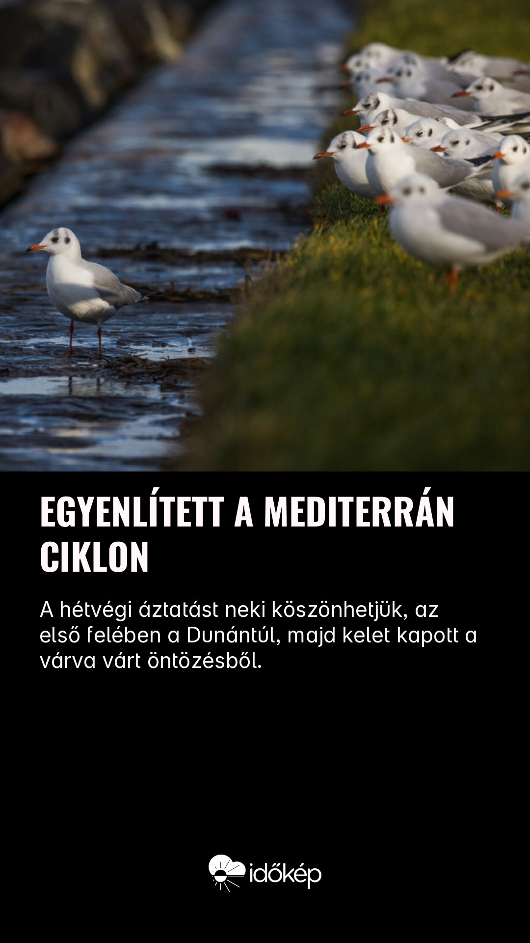 Egyenlített a mediterrán ciklon