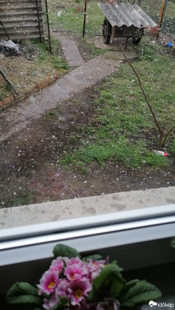 Észlelési fényképek