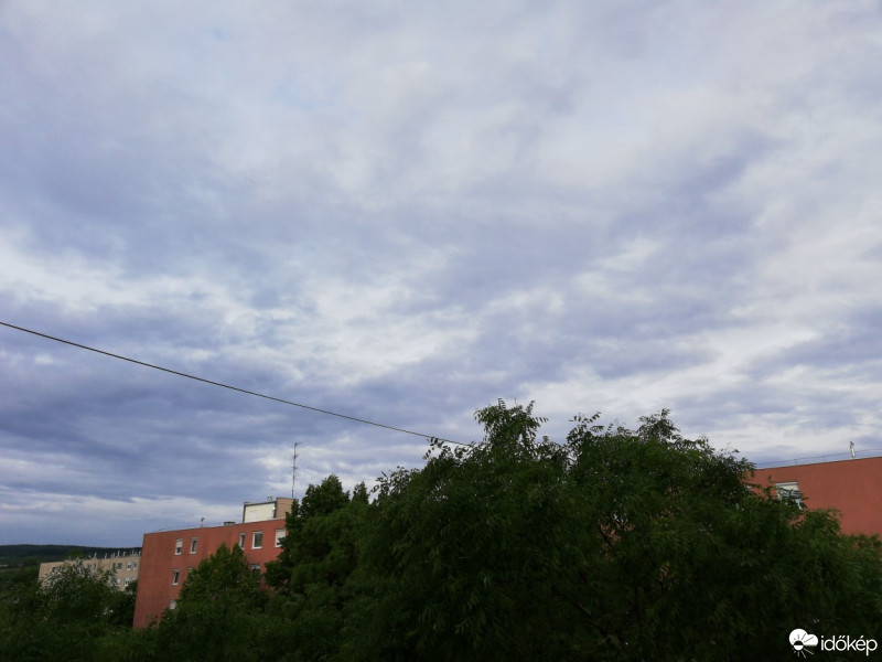 Ajka