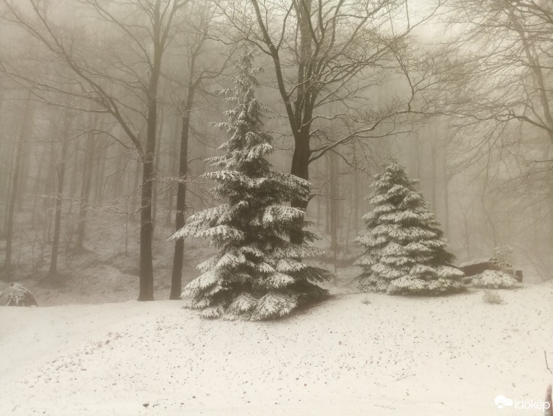 Észlelési fényképek