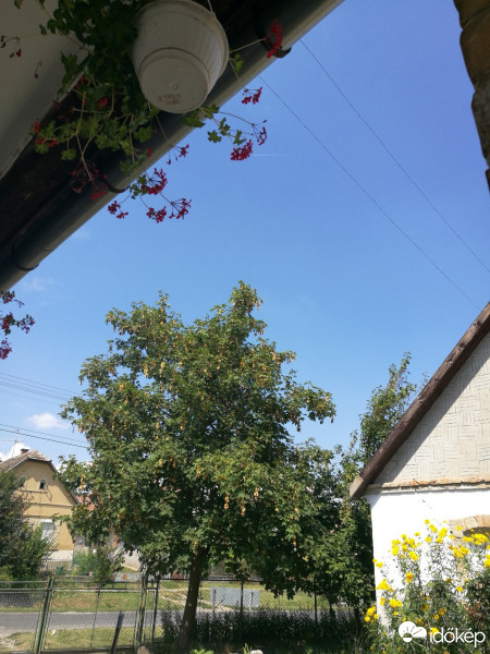 Észlelési fényképek