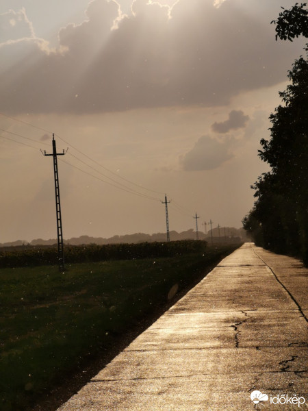 Észlelési fényképek