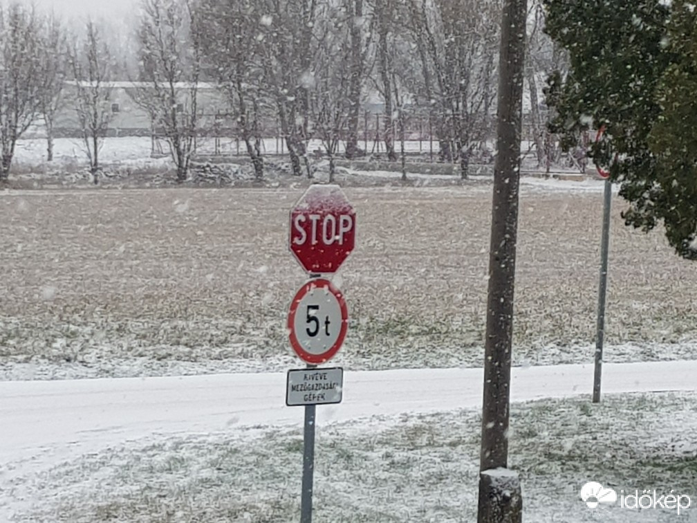 Észlelési fényképek