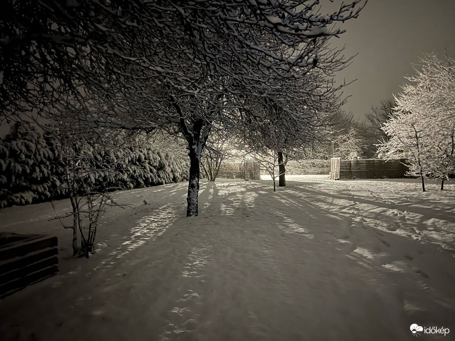 Észlelési fényképek