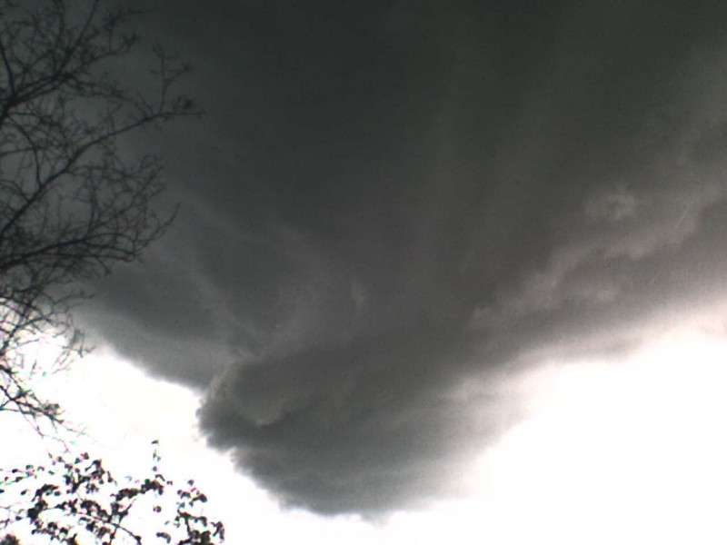 Tiszasüly 2008.04.19.