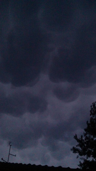 Észlelési fényképek