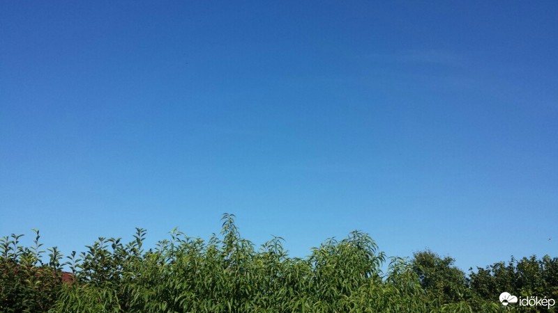 Észlelési fényképek