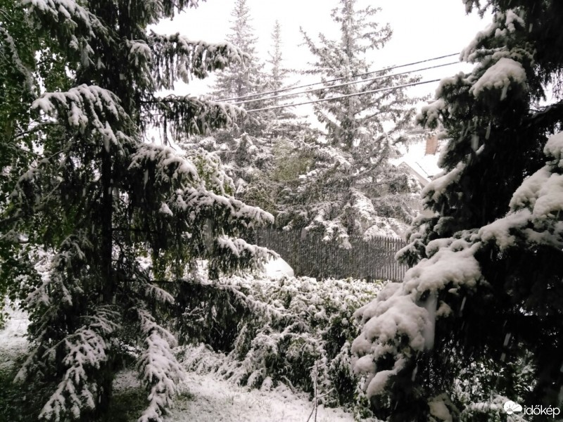 Észlelési fényképek