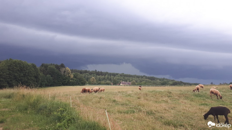 Észlelési fényképek