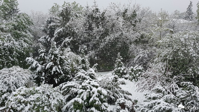 Észlelési fényképek