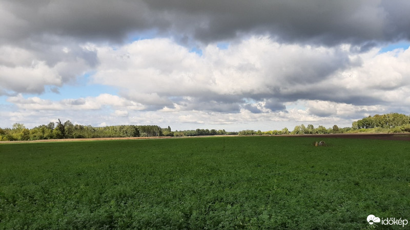 Észlelési fényképek