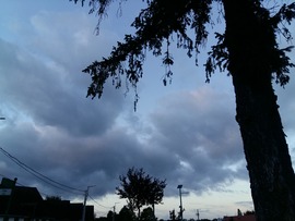 Zirc