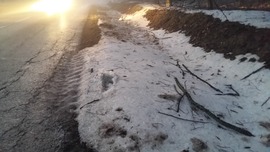 Ónos köd,zúzmarás (hó) lepel 